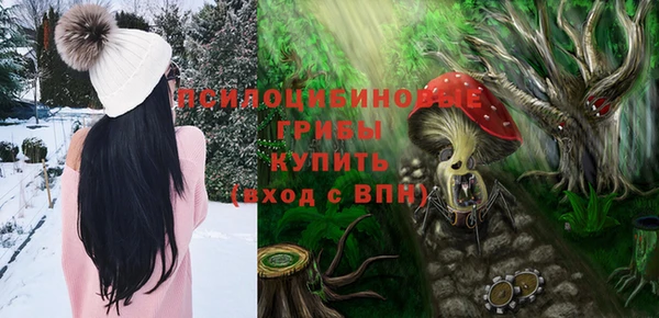 дмт Фурманов